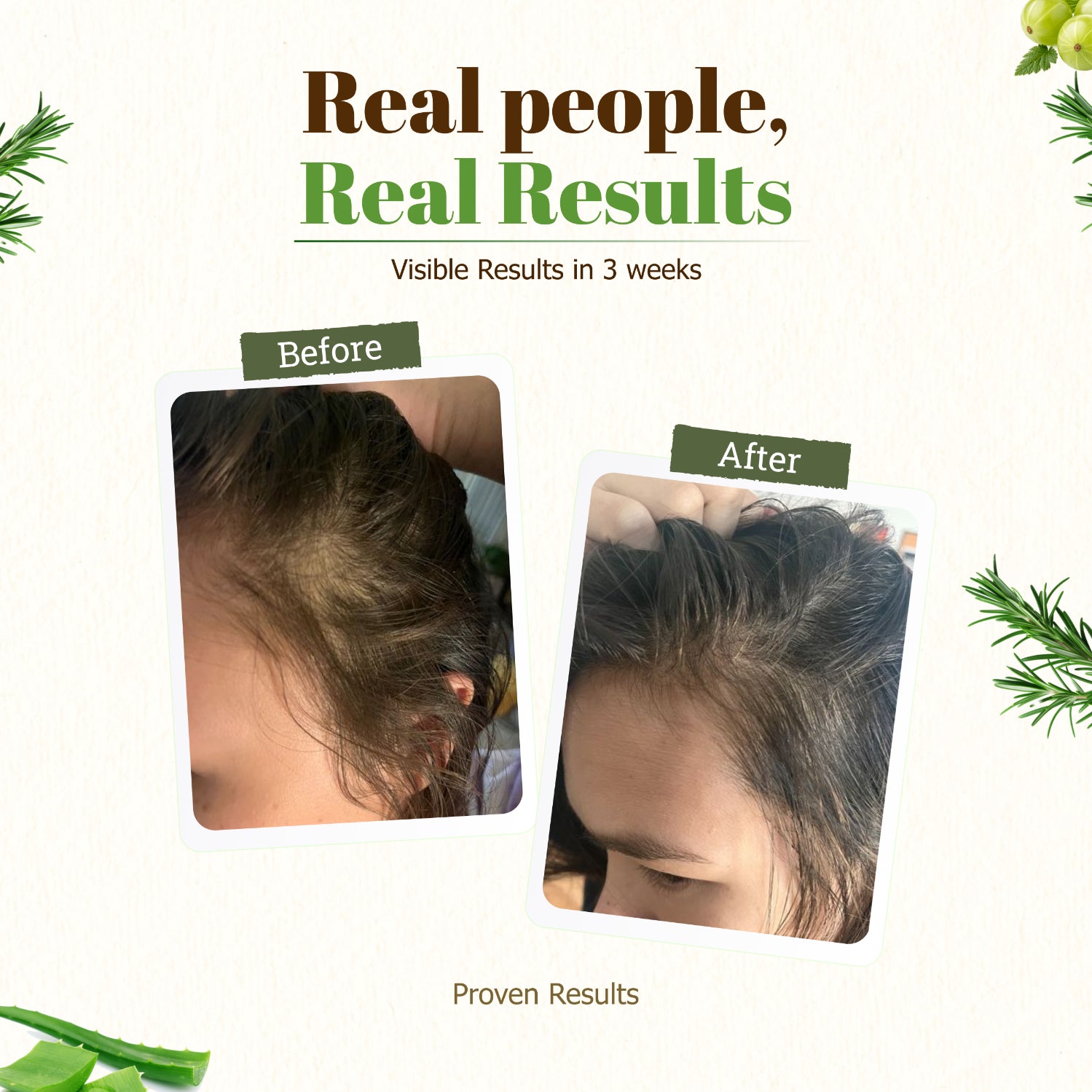 Gold Merry Herbal Hair Oil with 15 Herbs for Hair Fall Reduction & Regrowth Oil